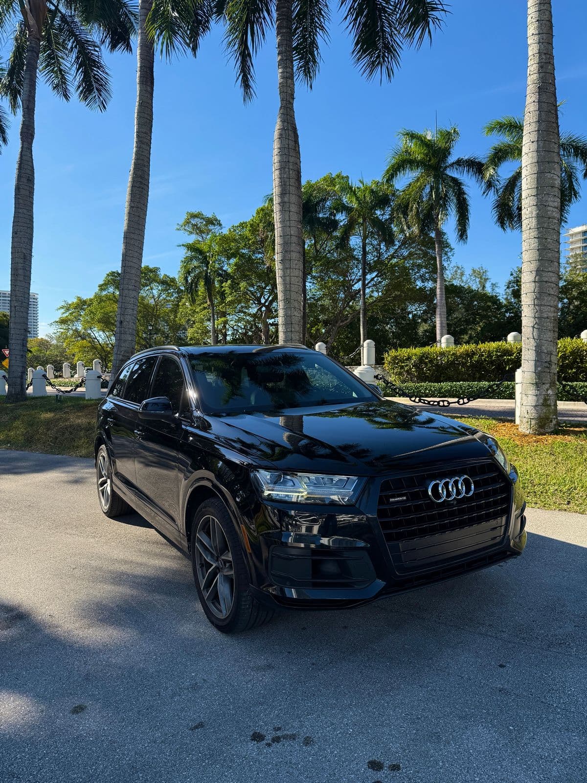 Audi Q7 Negra thumbnail 3