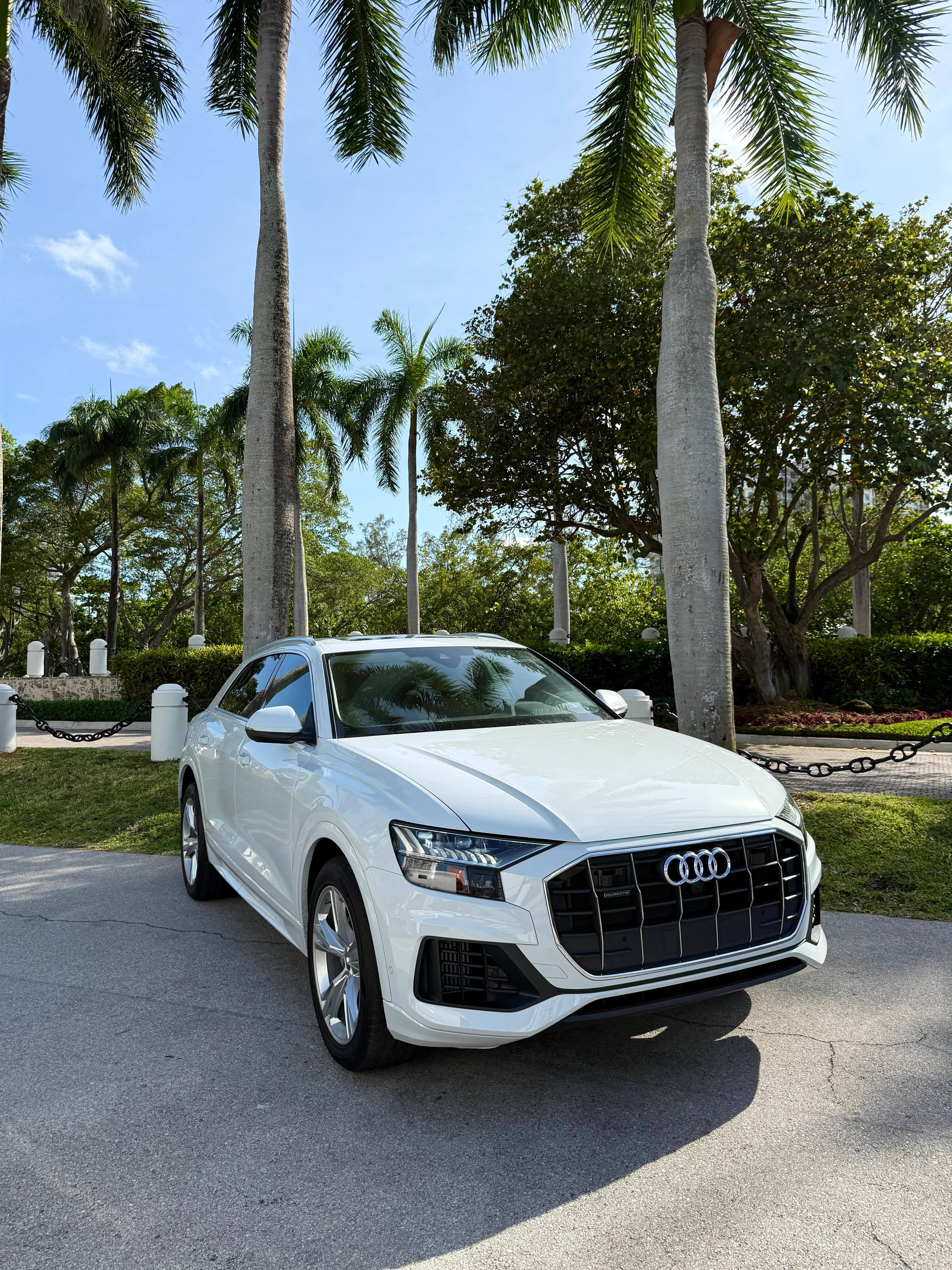 Audi Q8 Blanca thumbnail 5