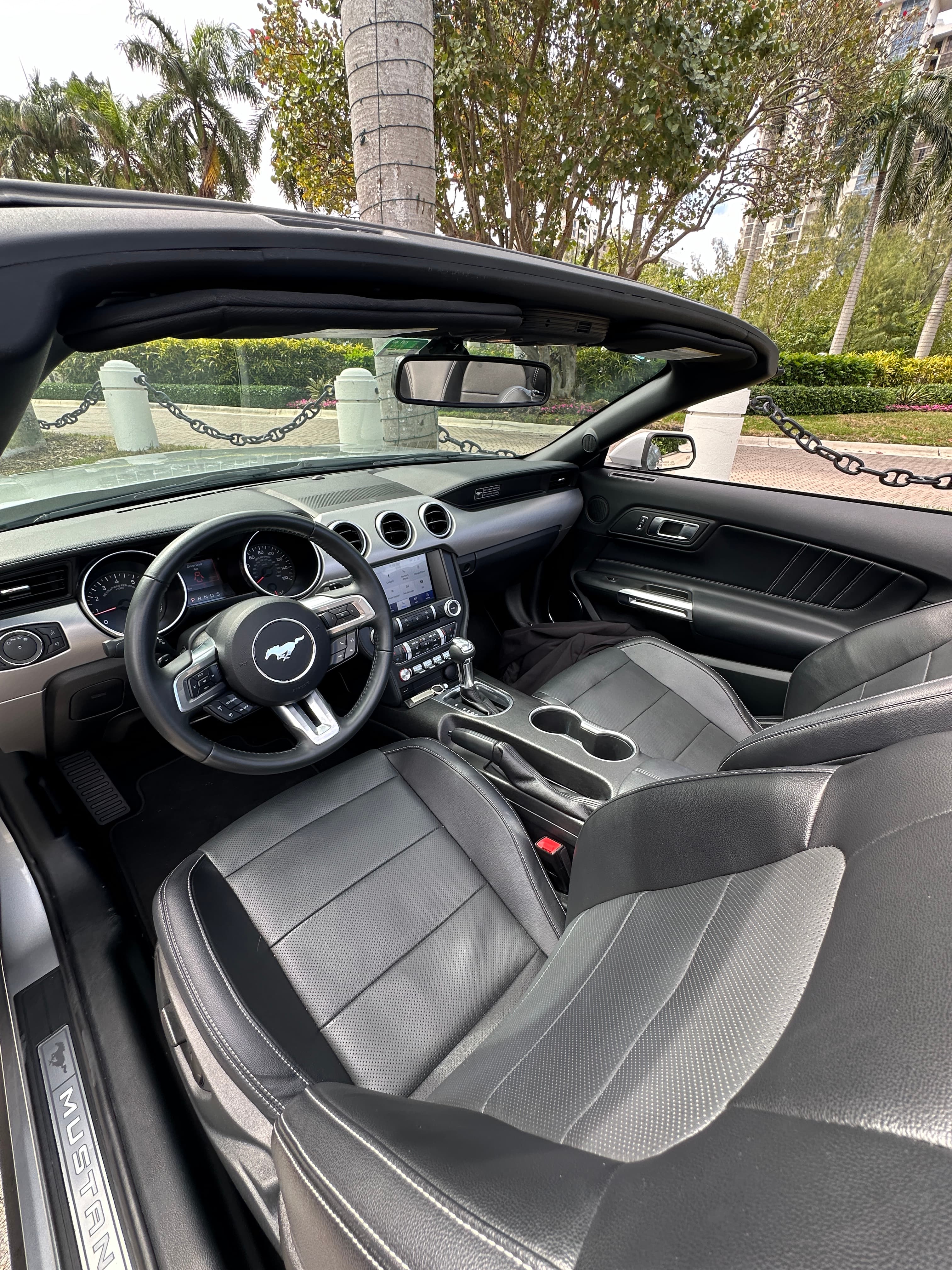 Ford Mustang Grey thumbnail 4