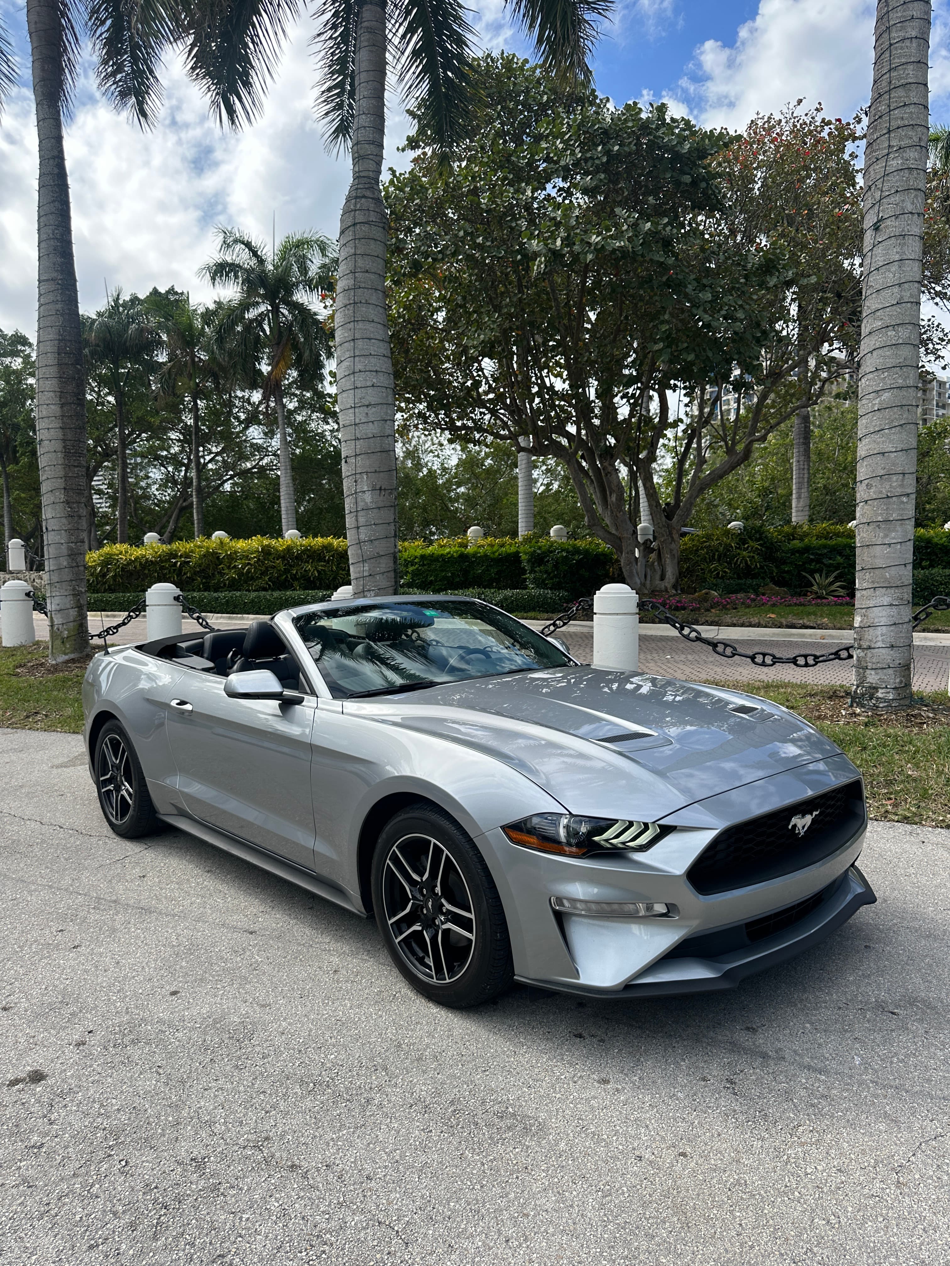 Ford Mustang Grey thumbnail 6