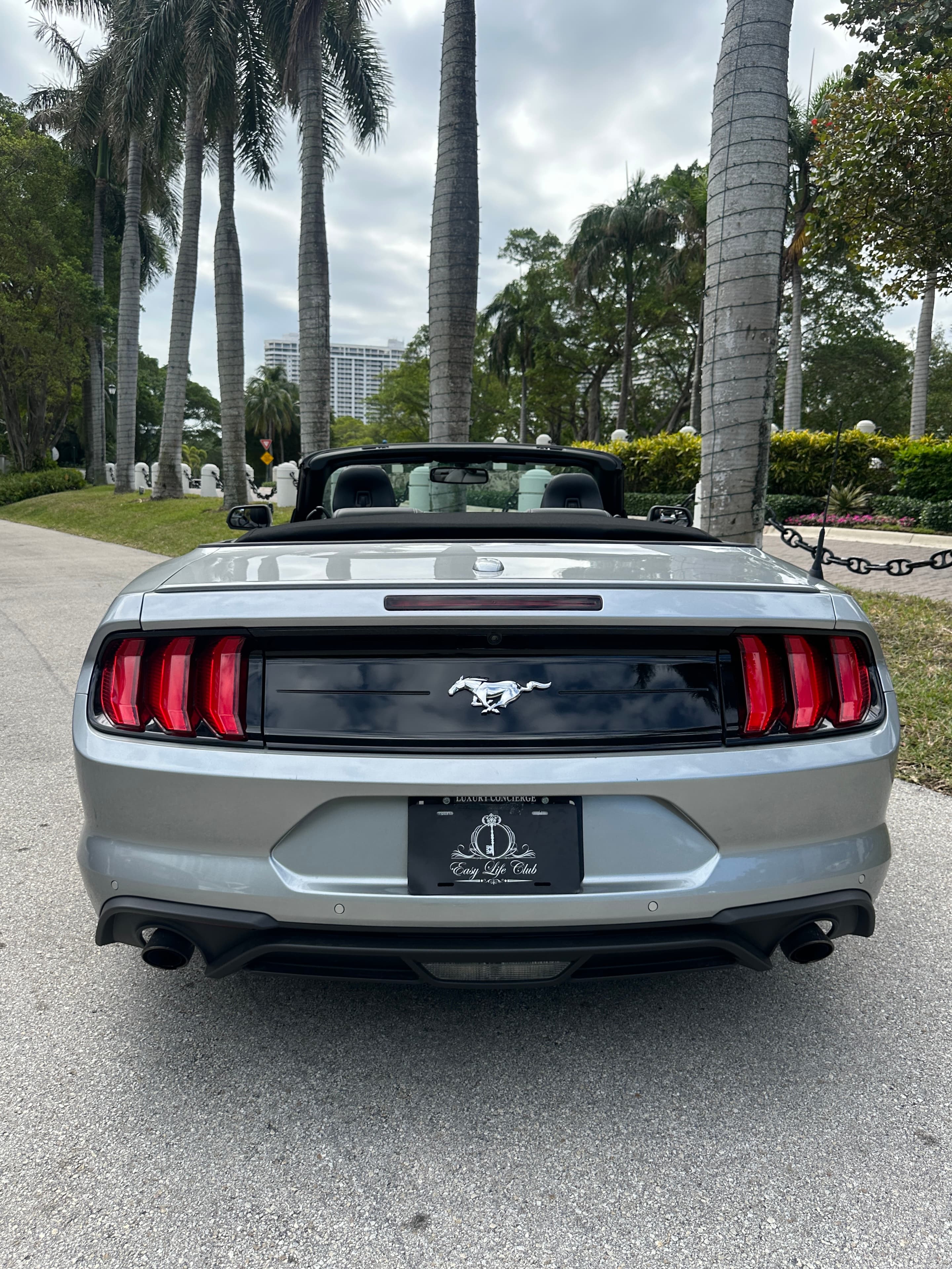 Ford Mustang Grey